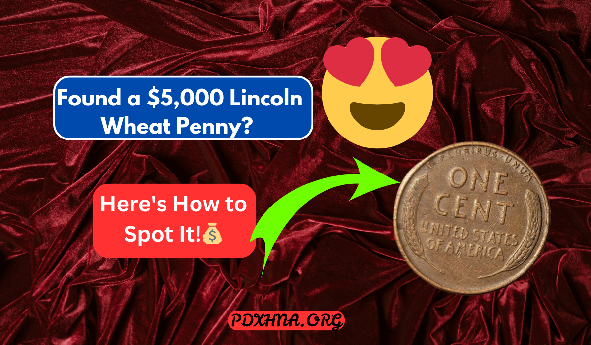 Found a $5,000 Lincoln Wheat Penny? Here's How to Spot It!💰